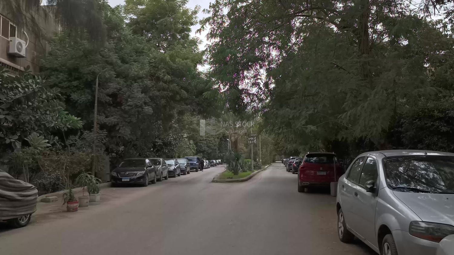 Video showing one of the quiet streets of Cairo