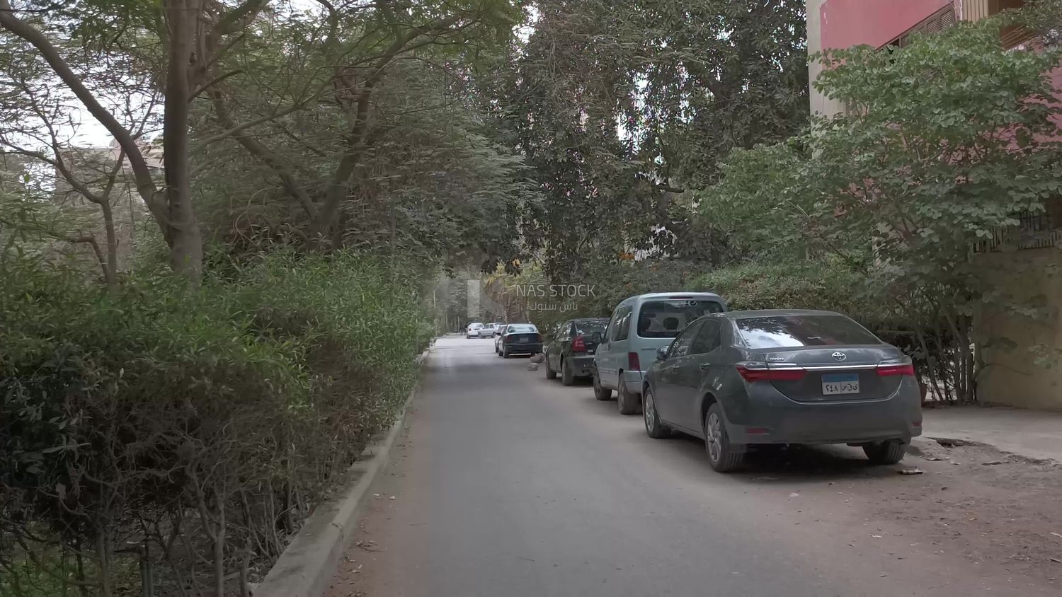 Video showing one of the quiet streets of Cairo