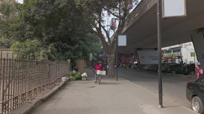Video showing a boy riding a bicycle on the sidewalk next to one of the Zamalek bridges in Cairo