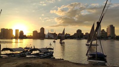 Video showing a group of sailing boats cruising in the Nile River at sunset
