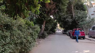 Video showing a man walking in one of the streets of Maadi, Cairo