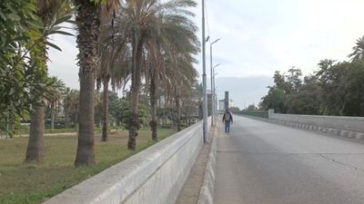 Video showing a young man walking on the road in one of the streets of Zamalek, Cairo