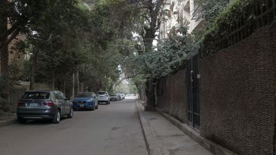 Video showing one of Cairo&#39;s high-end streets