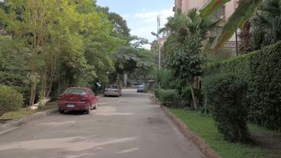Video showing one of Cairo&#39;s high-end streets