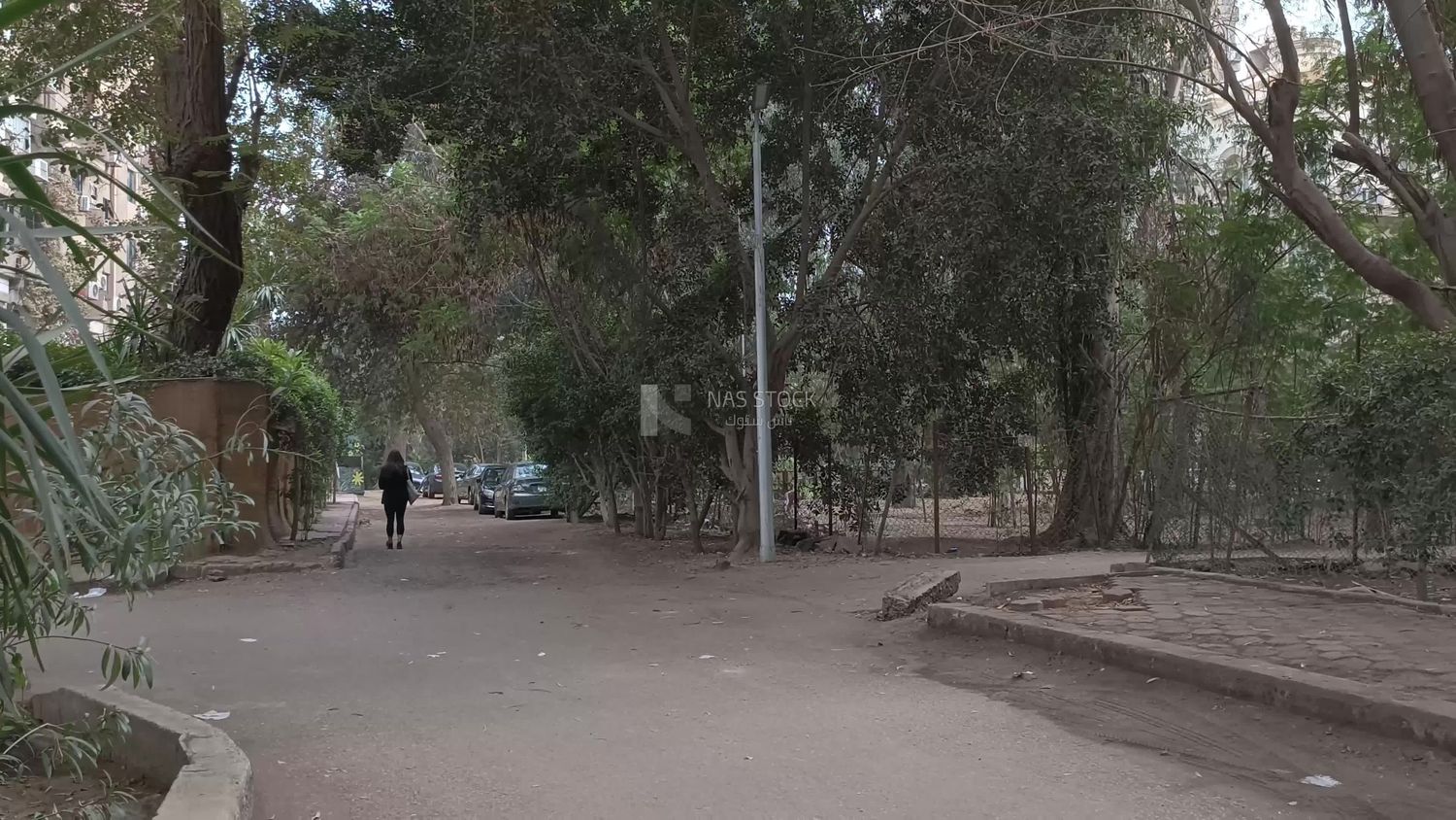 Video showing one of the quiet streets of Cairo
