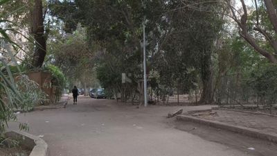 Video showing one of the quiet streets of Cairo