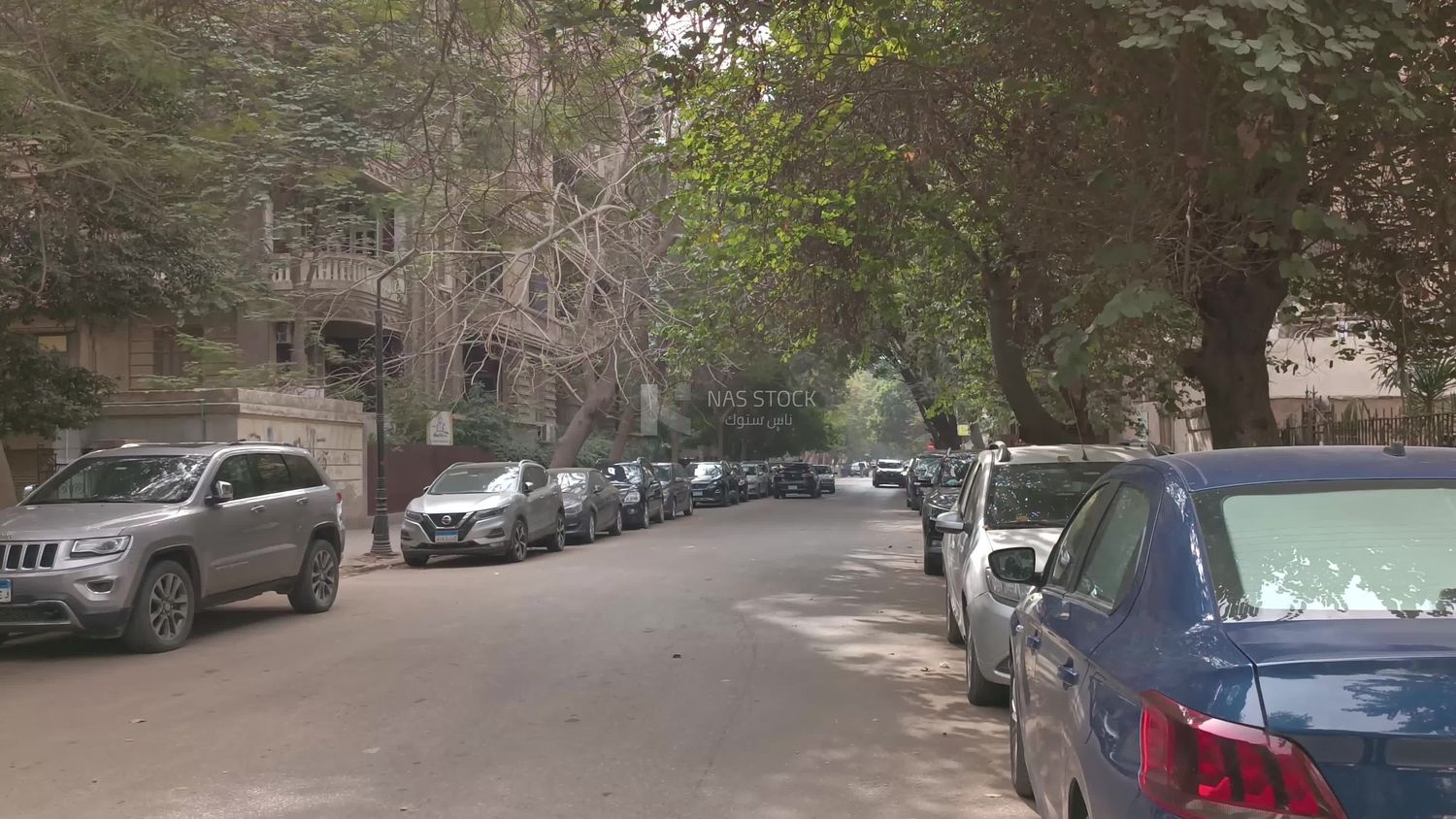 Video showing one of the quiet streets of Zamalek district in Cairo