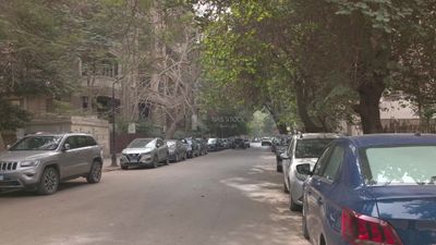 Video showing one of the quiet streets of Zamalek district in Cairo