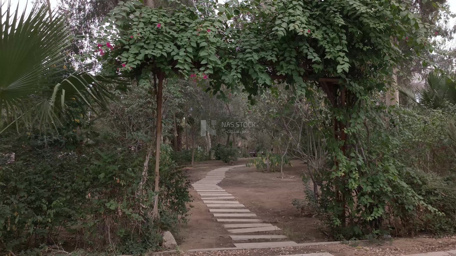 Video showing the entrance to Mostafa Kamel Square in Maadi, Cairo