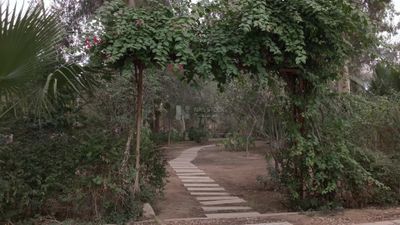 Video showing the entrance to Mostafa Kamel Square in Maadi, Cairo