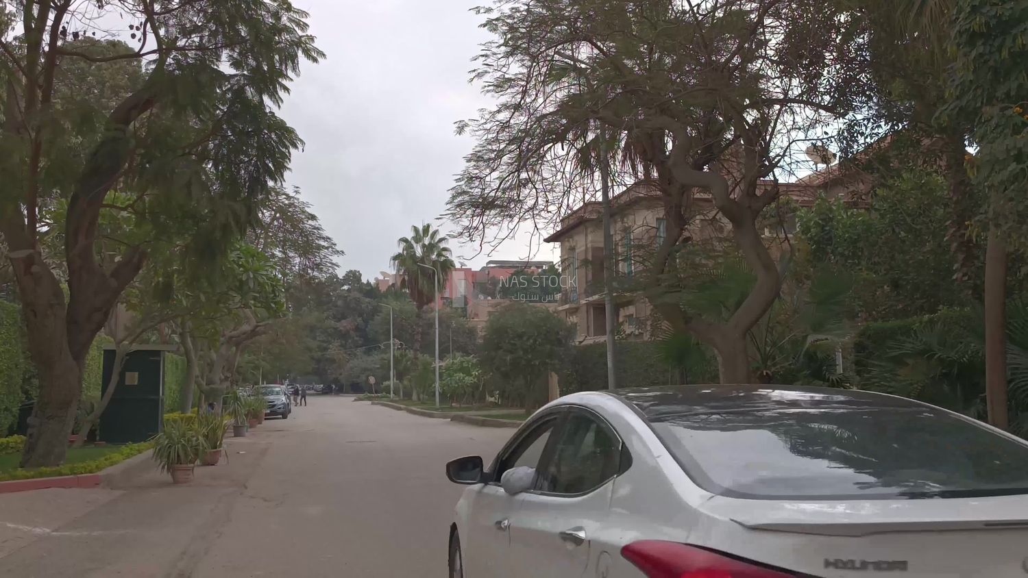 Video showing one of Cairo&#39;s high-end streets