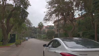 Video showing one of Cairo&#39;s high-end streets