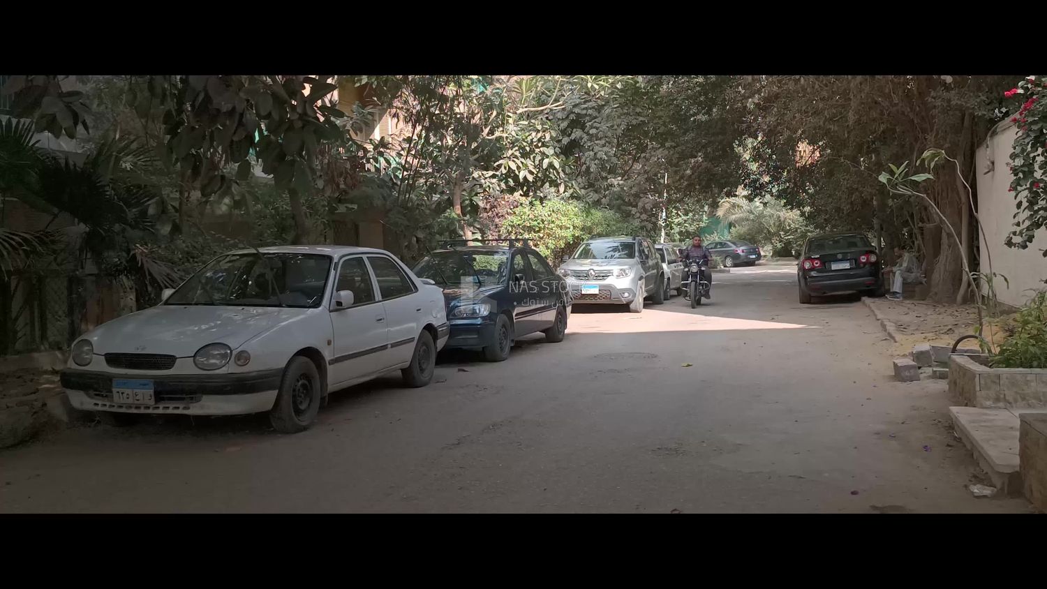 Video showing one of the quiet streets of Cairo