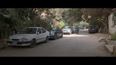 Video showing one of the quiet streets of Cairo