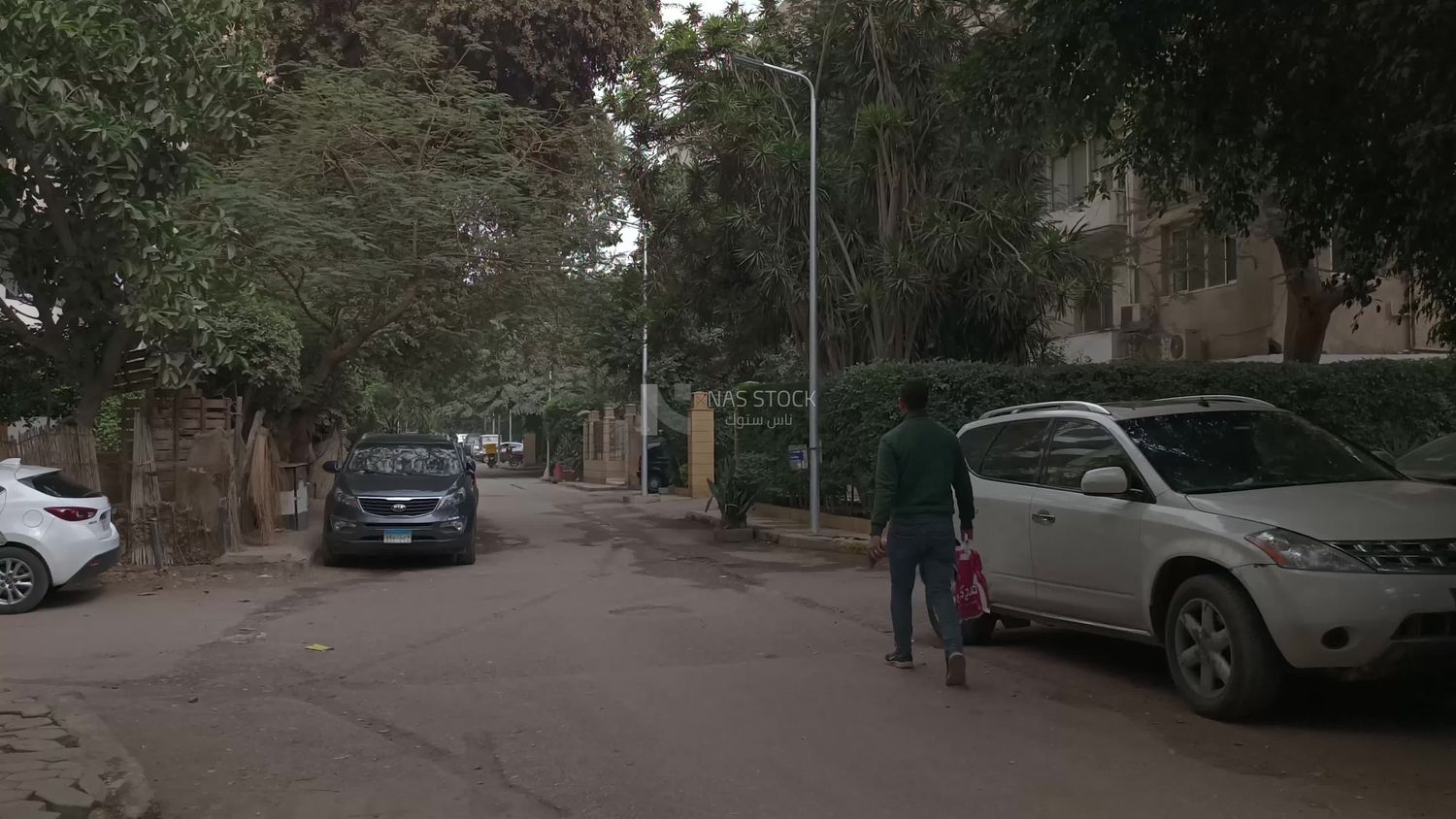 Video showing one of the quiet streets of Cairo