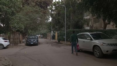 فيديو يوضح احد شوارع القاهرة الهادئة