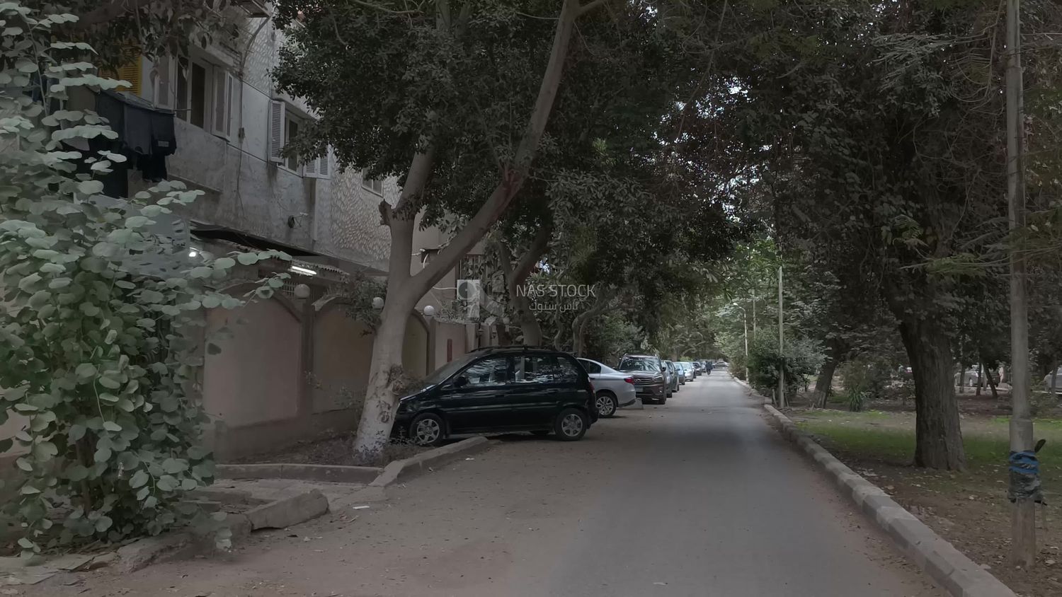 Video showing one of the quiet streets of Cairo