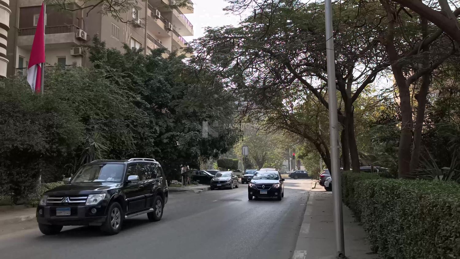 Video showing one of the streets of Maadi, where cars drive
