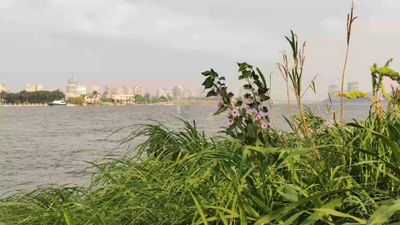 منظر خلاب لنهر النيل مع الزرع والورود الخضراء ,رحلة على نهر النيل توفر مناظر خلابة للنهر ومحيطه