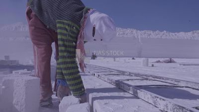 Group of men prepare the bricks to transparent them from the floor to the car