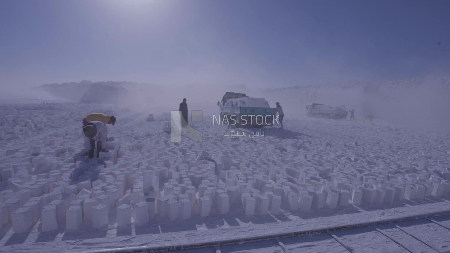 Group of men prepare the bricks to transparent them from the floor to the car