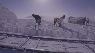 Group of men prepare the bricks to transparent them from the floor to the car
