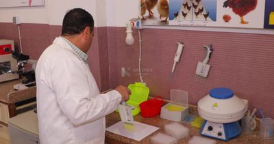 Veterinarian in the laboratory, animals