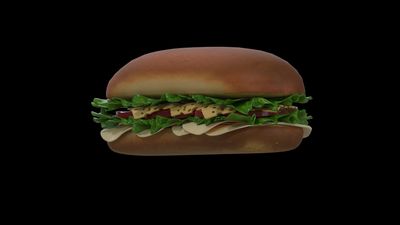 3D Model of a sandwich