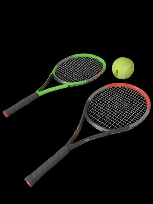 3D Model of a tennis ball with rackets