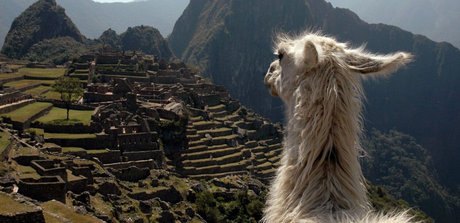Overseeing Machu Pichu