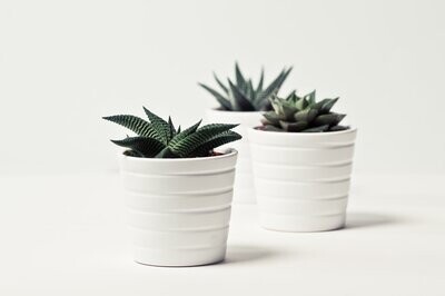 DECOR