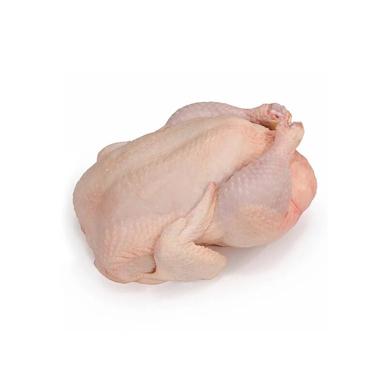 POLLO ENTERO COOKS VENTURE