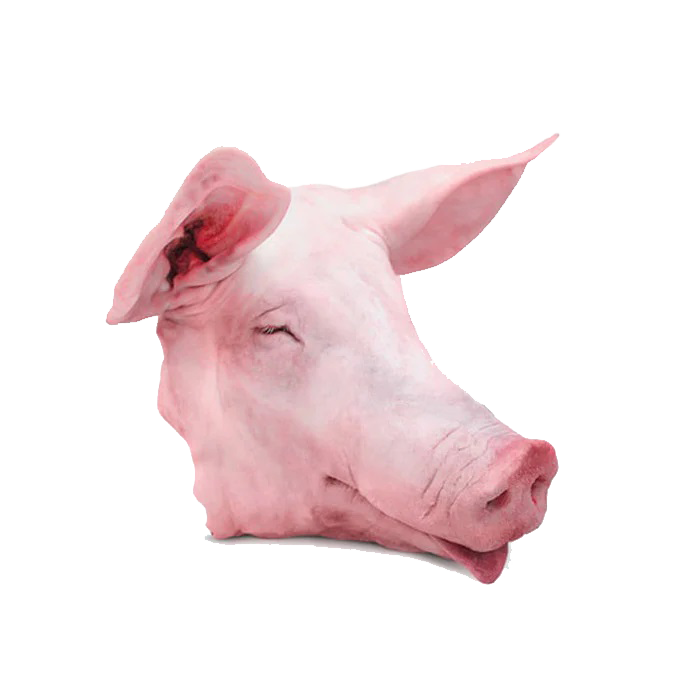 CABEZA DE PUERCO KG