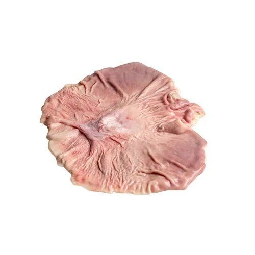 BUCHE DE PUERCO ICP KG