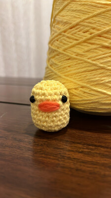 Baby Ducky