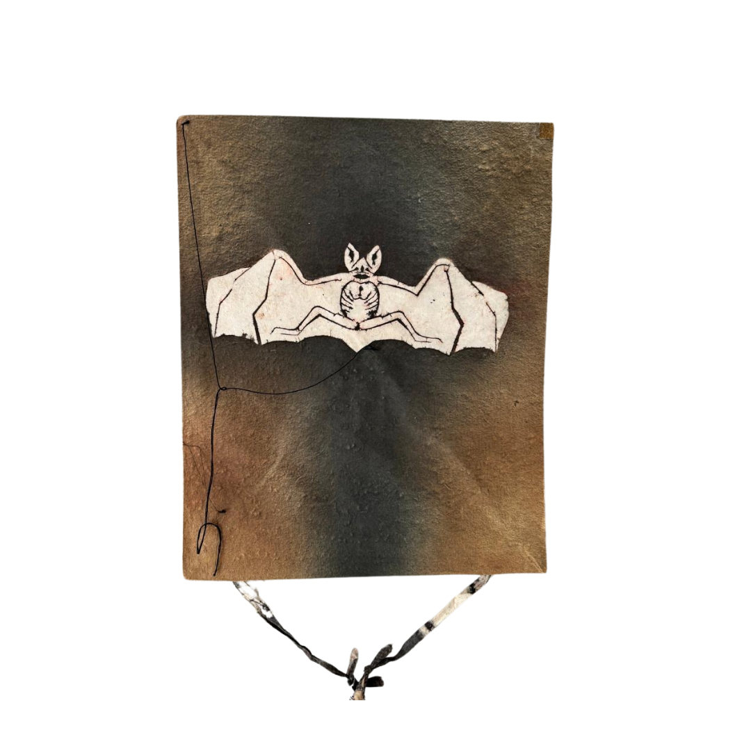 PAPALOTE RECTANGULAR &quot;MURCIELAGO&quot;