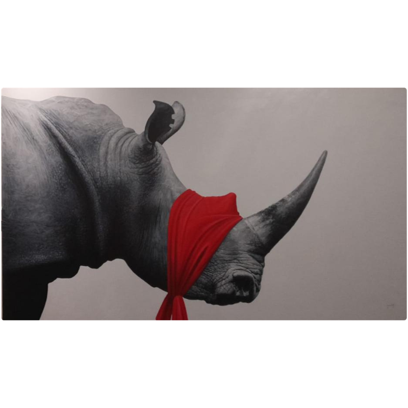 &quot;Rinoceronte vendado&quot; - Jacobo Flores