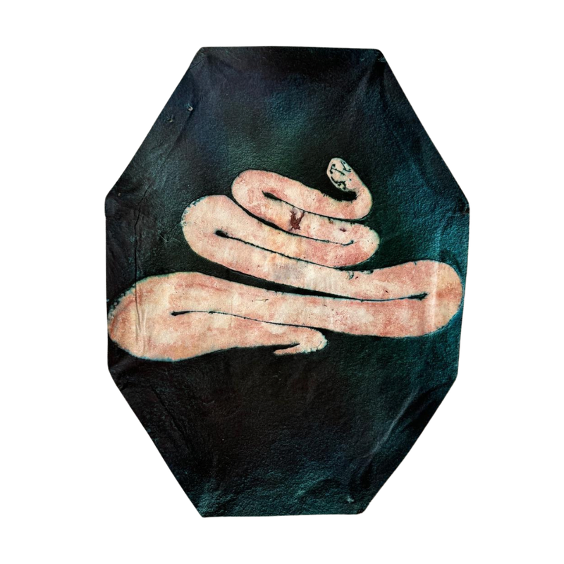 PAPALOTE OCTAGONAL “SERPIENTE”