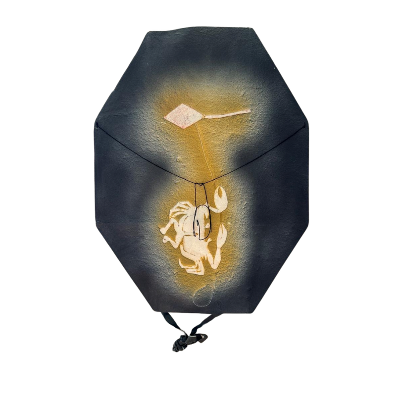 PAPALOTE HECTAGONAL &quot;CANGREJO&quot;