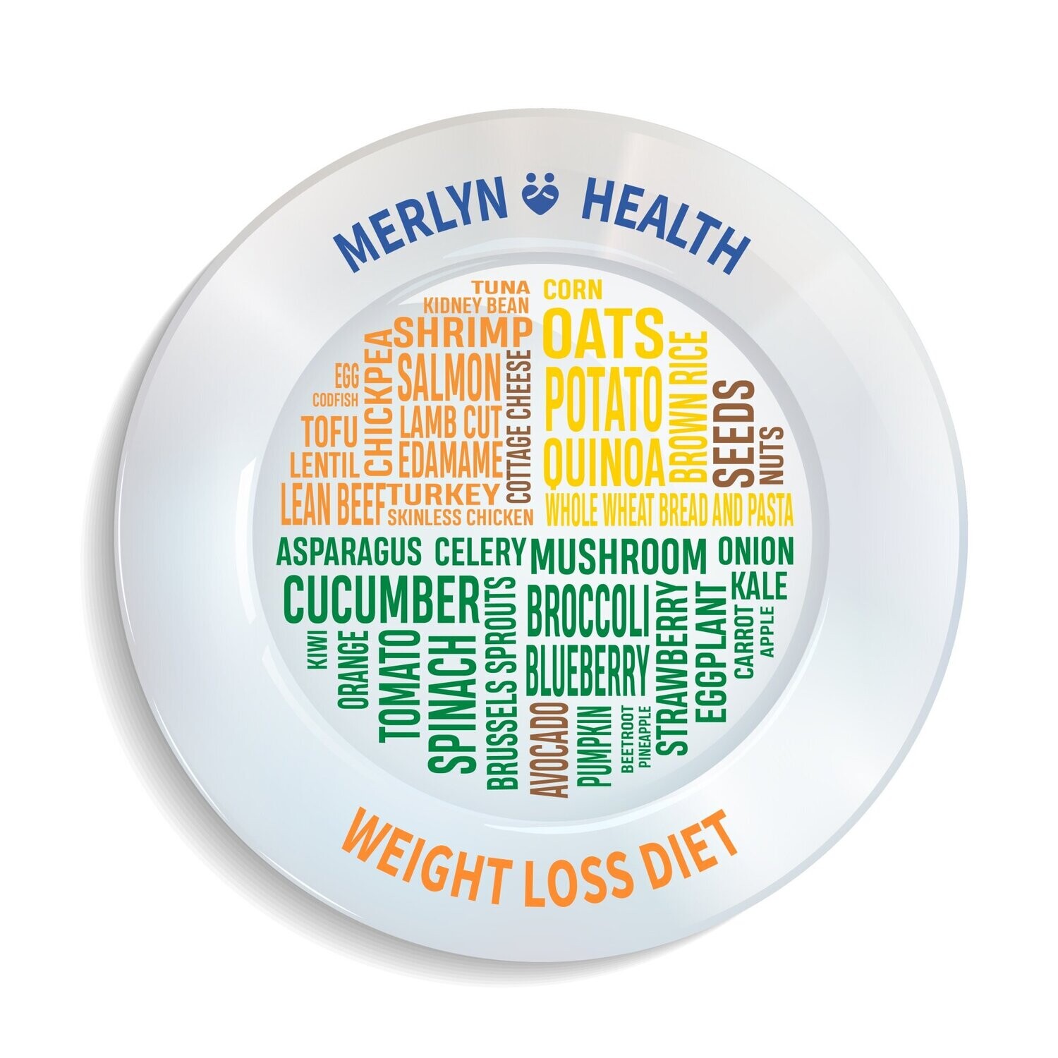 Weight Loss Diet Plate (Patent Registered)