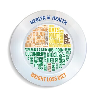 Weight Loss Diet Plate (Patent Registered)