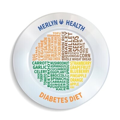 Diabetes Diet Plate (Patent Registered)