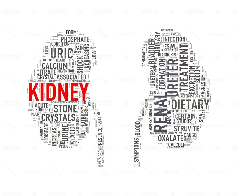 14-Day Renal Diet Plan E-Book