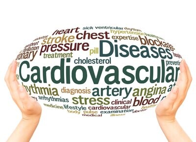 14-Day Cardiovascular Diet Plan E-Book