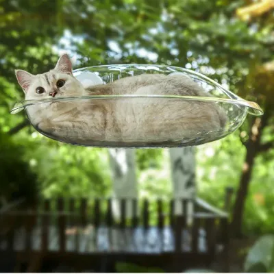 Cat Window Bed