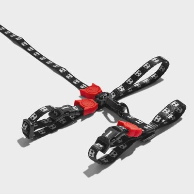 Zee.Cat Cat Harness+Leash Skull