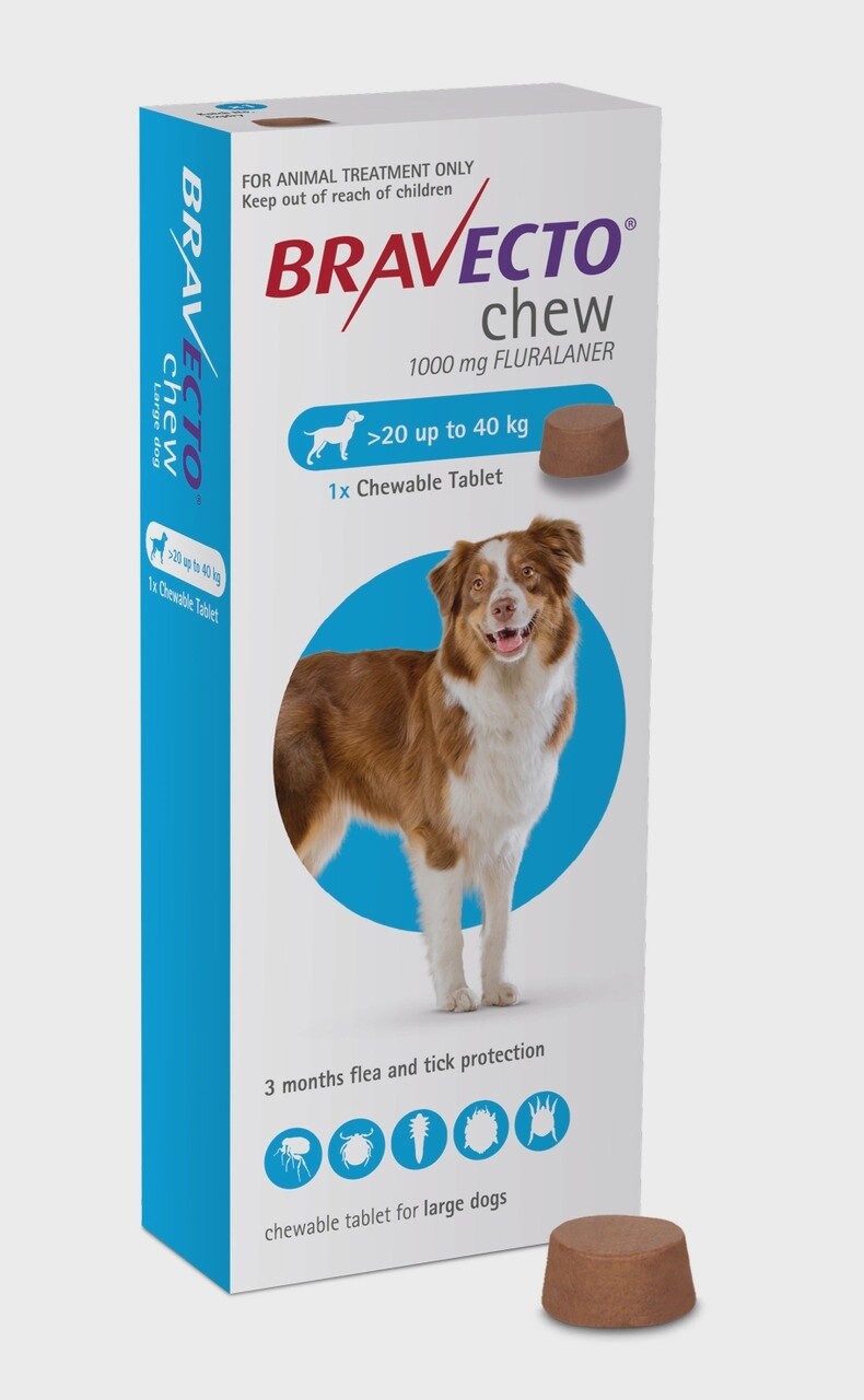 Bravecto Chewable tab Lge Dog 20-40kg