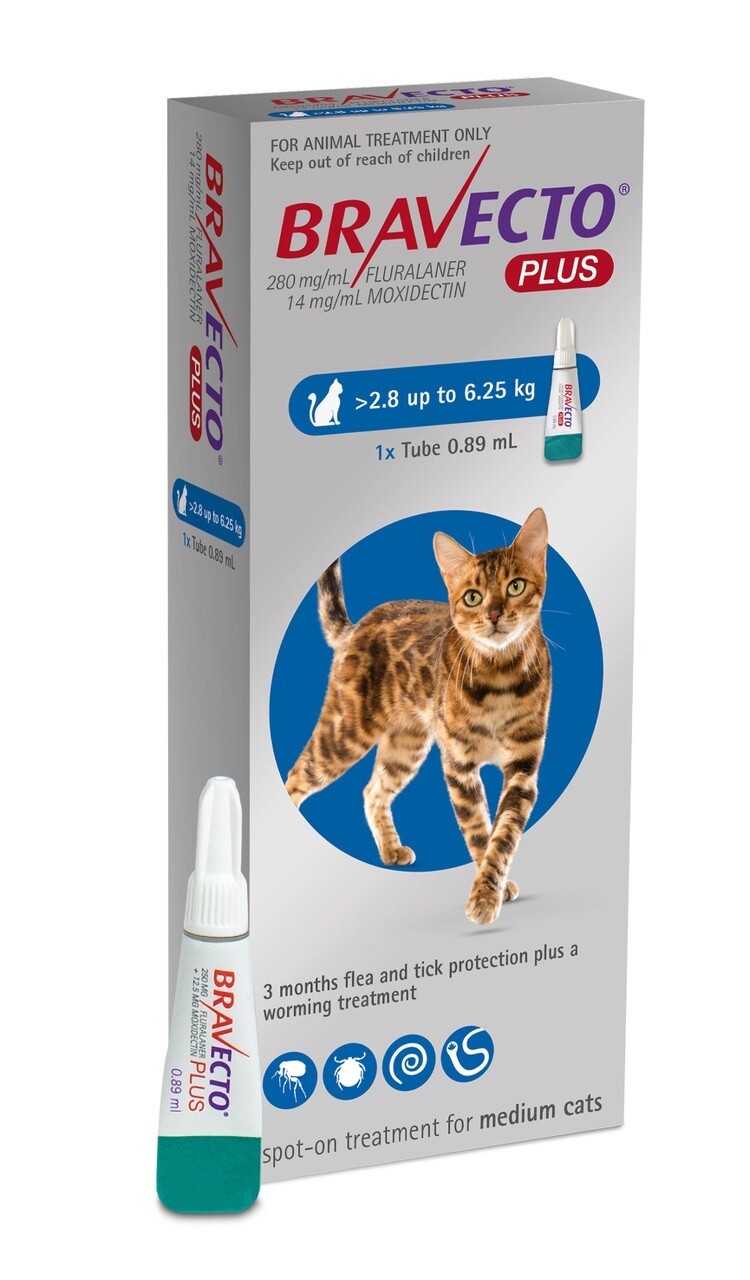 Bravecto Plus Med Cat 2.8-6.25kg