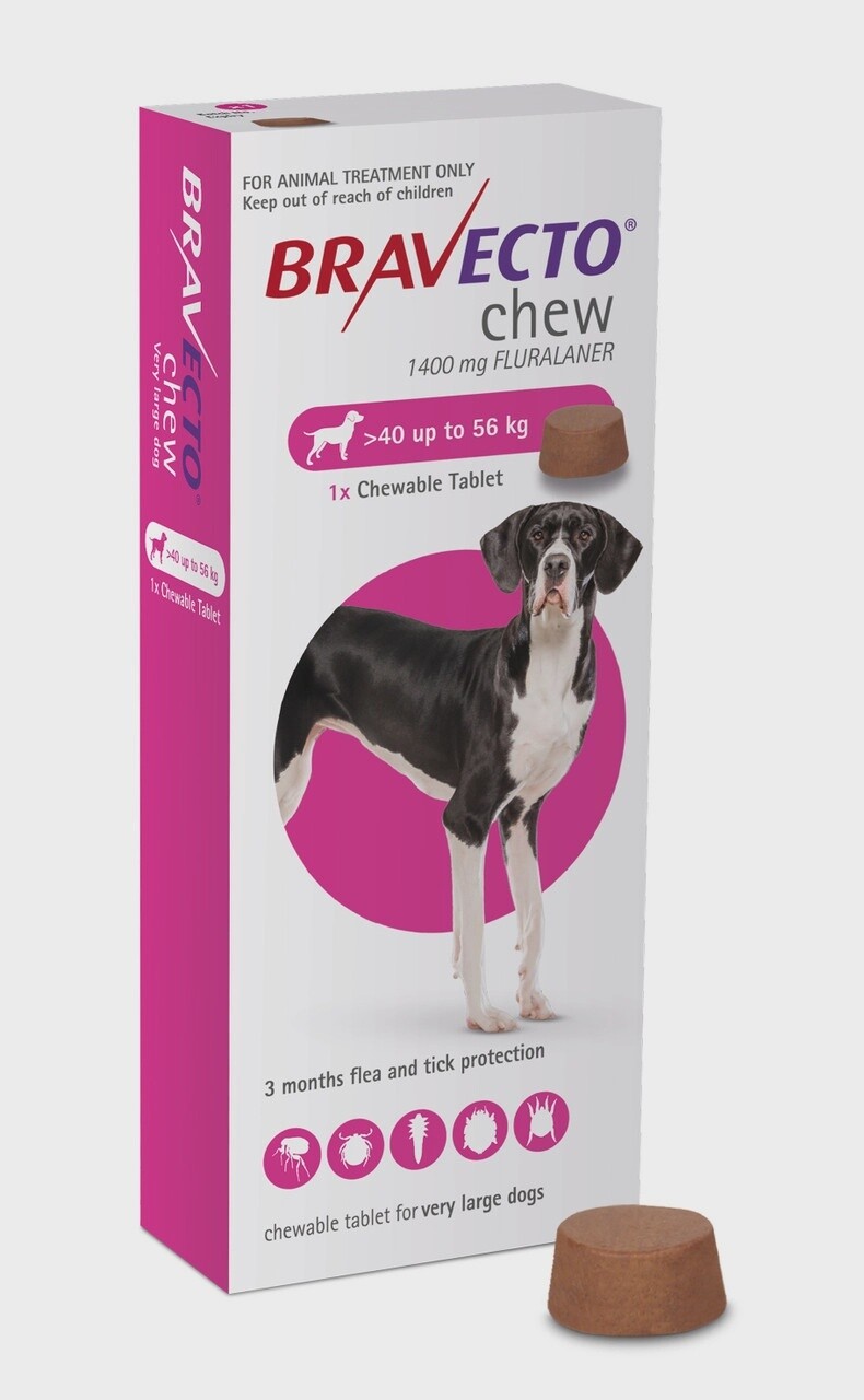 Bravecto Chewable tab XL Dog 40-56kg