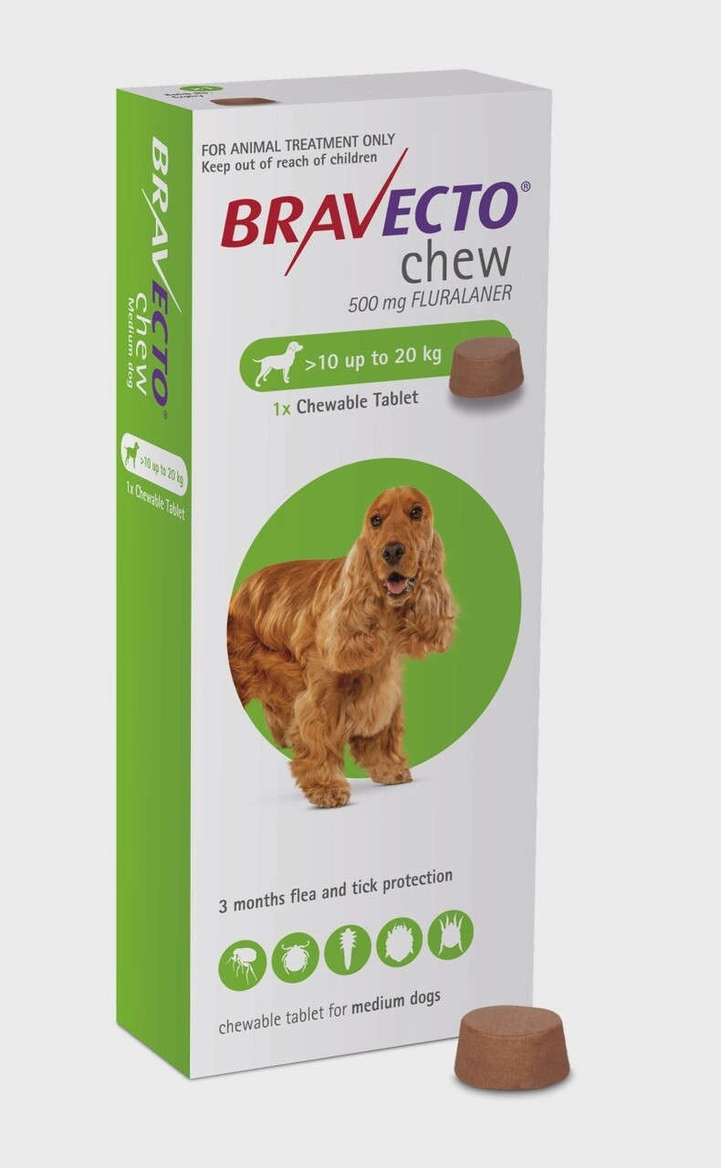 Bravecto Chewable tab Med Dog 10-20kg